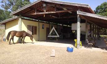 Imagem 7: Haras com excelente localização - Volta Grande Piracicaba - SP