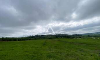 Imagem: Área de 4,5 Alqueires - Rodovia Cornélio