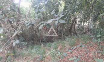 Imagem 2: ÁREA DE 1800 M² EM SALTINHO NO BAIRRO SERROTE COM PROJETO DE REFLORESTAMENTO