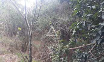 Imagem 3: ÁREA DE 1800 M² EM SALTINHO NO BAIRRO SERROTE COM PROJETO DE REFLORESTAMENTO