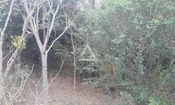 Imagem 4: ÁREA DE 1800 M² EM SALTINHO NO BAIRRO SERROTE COM PROJETO DE REFLORESTAMENTO