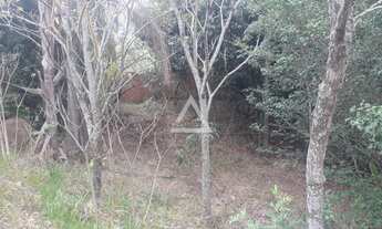 Imagem 5: ÁREA DE 1800 M² EM SALTINHO NO BAIRRO SERROTE COM PROJETO DE REFLORESTAMENTO