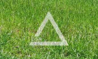 Imagem: TERRENO EM CONDOMÍNIO ÁGAPE COM 200 M²