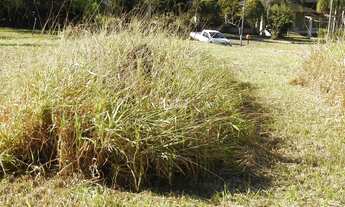 Imagem 5: Terreno de 1600m2 no Condomínio Maria Helena