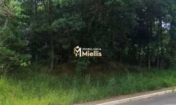 Imagem: TERRENO PRÓXIMO AO LAGO TARUMÃ - VIAMÃO