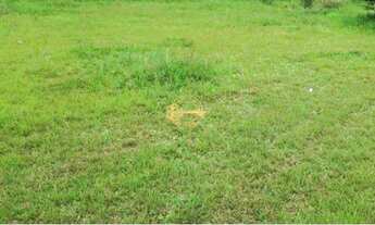 Imagem: Terreno à venda, 332 m² por R$ 3.984.000,00