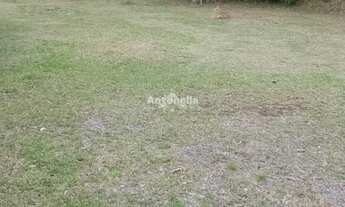 Imagem: Chácara próxima a Caxias do Sul