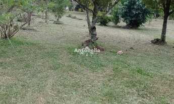 Imagem 3: Chácara próxima a Caxias do Sul