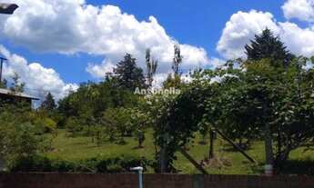 Imagem 5: Chácara próxima a Caxias do Sul