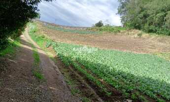 Imagem 1: Terreno à venda no bairro Galopolis