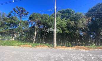 Imagem: Terreno à venda no N. Sra do Rosário