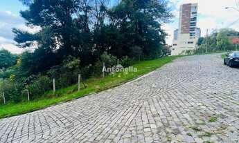 Imagem 2: Terreno à venda no Panazzolo