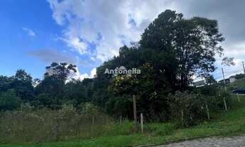 Imagem 5: Terreno à venda no Panazzolo