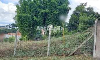 Imagem 3: Terreno à venda no Treviso