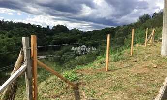 Imagem 2: Terreno à venda no bairro Desvio Rizzo