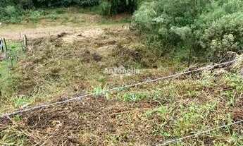 Imagem 6: Terreno à venda no bairro Desvio Rizzo