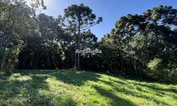 Imagem: Chácara à venda em Fazenda Souza!!!