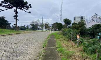 Imagem 3: Terreno na Lagoa do Bairro Desvio Rizzo