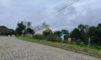 Imagem 4: Terreno na Lagoa do Bairro Desvio Rizzo