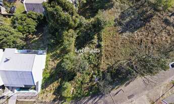 Imagem 5: Terreno na Lagoa do Bairro Desvio Rizzo