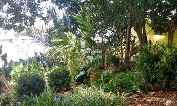 Imagem: Casa à venda no Petropolis