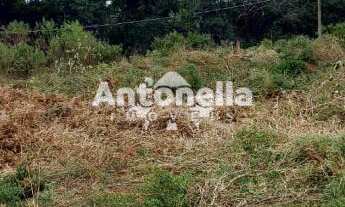 Imagem: Terreno à venda no bairro São Luiz