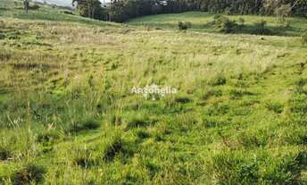 Imagem: Terreno à venda em Vila Oliva