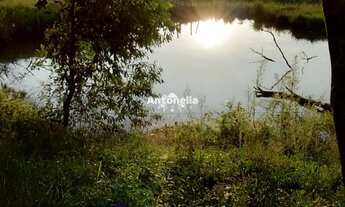 Imagem 3: Terreno à venda em Vila Oliva