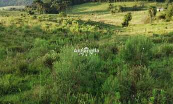 Imagem 4: Terreno à venda em Vila Oliva