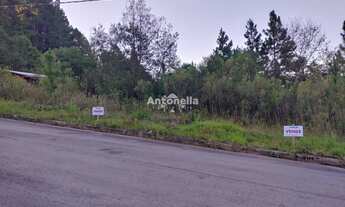 Imagem: Terreno à venda no bairro Bela Vista