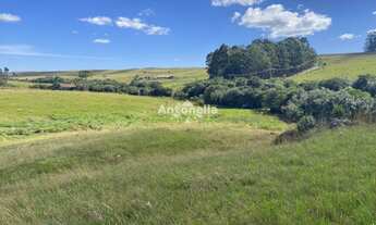 Imagem: Chácara Rincão das Flores!
