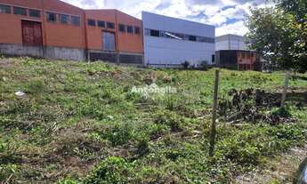 Imagem 2: Terreno no bairro Desvio Rizzo