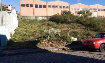 Imagem 6: Terreno no bairro Desvio Rizzo