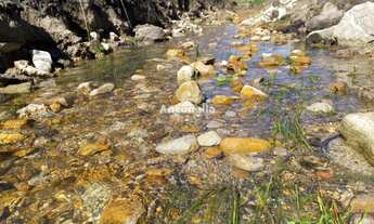 Imagem: Chácara Rincão das Flores!