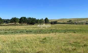 Imagem 2: Chácara Rincão das Flores!