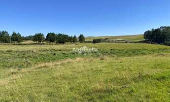 Imagem 3: Chácara Rincão das Flores!