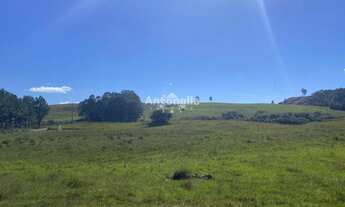 Imagem 4: Chácara Rincão das Flores!