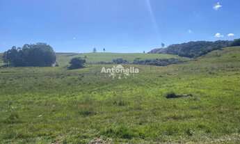 Imagem 5: Chácara Rincão das Flores!