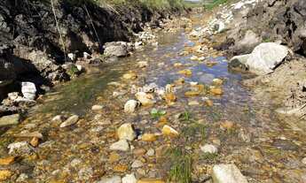 Imagem 6: Chácara Rincão das Flores!