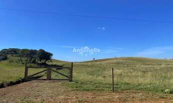 Imagem 7: Chácara Rincão das Flores!
