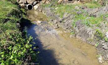Imagem: Chácara no Rincão das Flores!