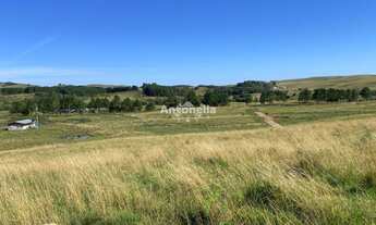 Imagem 2: Chácara no Rincão das Flores!