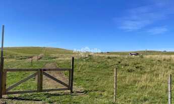 Imagem 3: Chácara no Rincão das Flores!