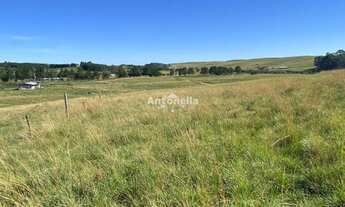 Imagem 4: Chácara no Rincão das Flores!