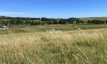 Imagem 5: Chácara no Rincão das Flores!