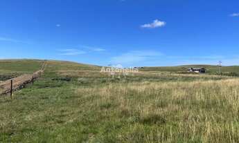 Imagem 6: Chácara no Rincão das Flores!