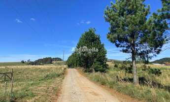 Imagem 7: Chácara no Rincão das Flores!