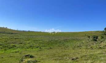 Imagem: Chácara em Rincão das Flores!!!