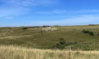 Imagem 3: Chácara em Rincão das Flores!!!
