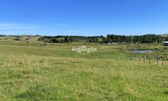 Imagem 4: Chácara em Rincão das Flores!!!